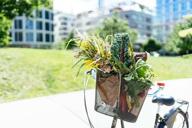 Bild Fahrrad mit Fahrradkorb voller Blumen und Gemüse
