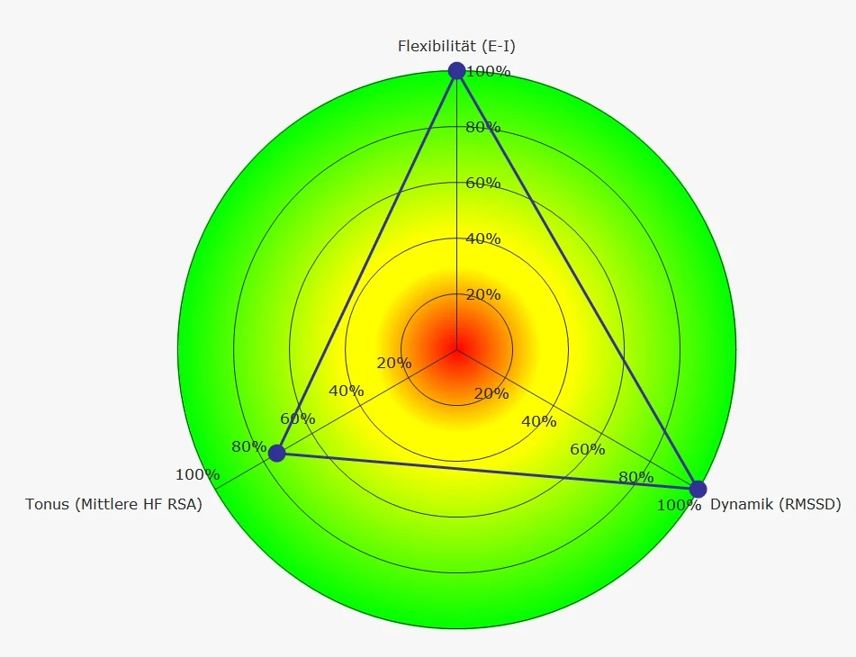 Auswertung des Atemtests (RSA) als Diagramm mit Flexibilität, Tonus und Dynamik, Beispiel mit ausgeprägter Atem-Herz-Kopplung