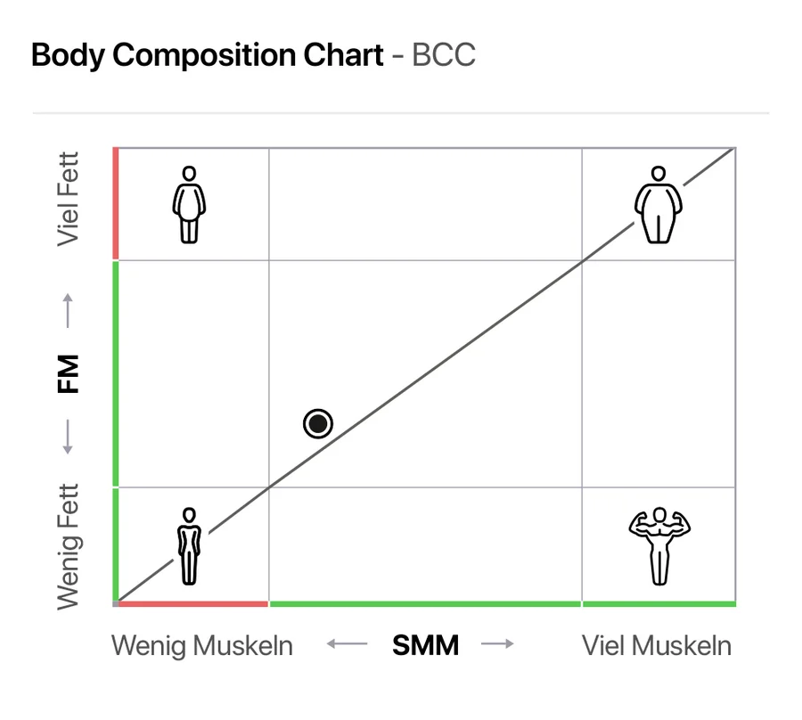 Body Composition Chart: Fettmasse und Skelettmuskelmasse in einem Diagramm eingeordnet
