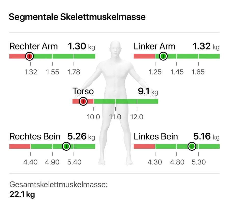 Segmentale Skelettmuskelmasse: Muskelmasse getrennt für rechten und linken Arm, Torso sowie rechtes und linkes Bein